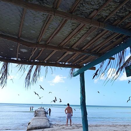 Mi Habitat Holbox-Maravilla Natural Exteriör bild