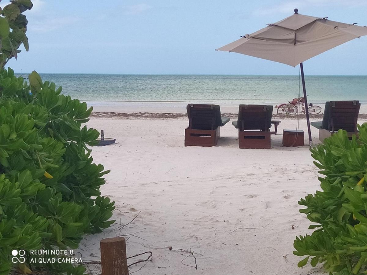 Mi Habitat Holbox-Maravilla Natural Exteriör bild