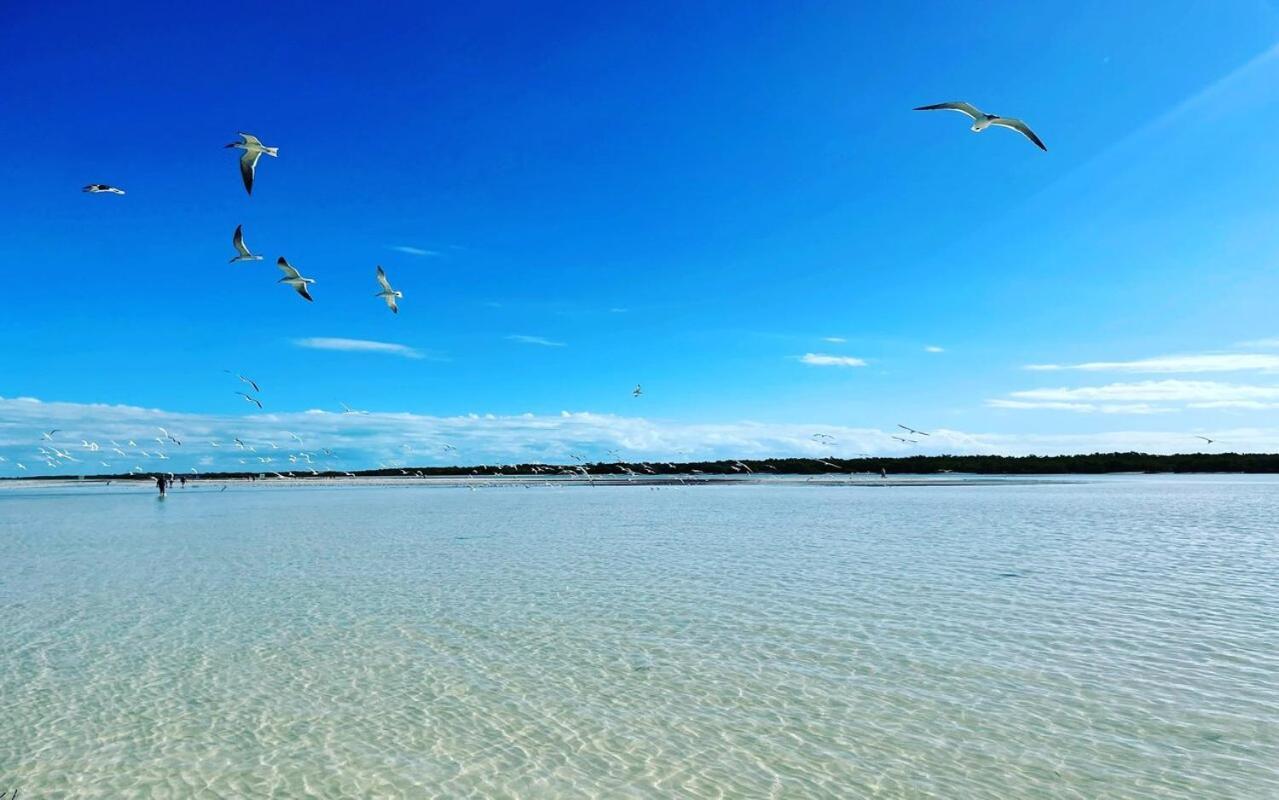 Mi Habitat Holbox-Maravilla Natural Exteriör bild